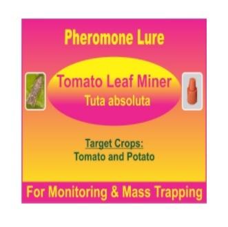 Tuta absoluta Pheromone Lure- Tomato Leaf Miner