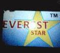Everest Star Door Closer
