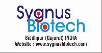 SYGNUS BIOTECH