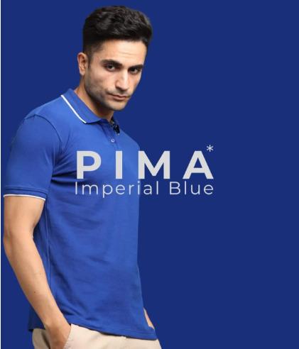 Imperial Blue Poly Cotton Regular Fit Collar Polo T Shirt for Men