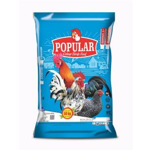 Popular Colour Birds Feed