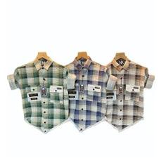 Mens Shirt