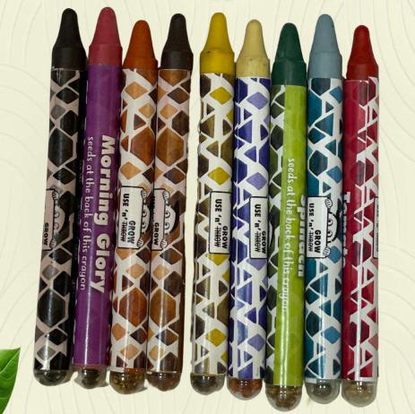 Kids Color with Seed