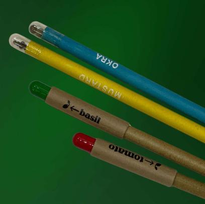 Kids Color with Seed