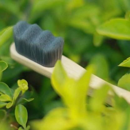 Akoya Green Organic Premium Toothbrush Charcoal Infused Floss-Tip Bristles (ultrasoft)