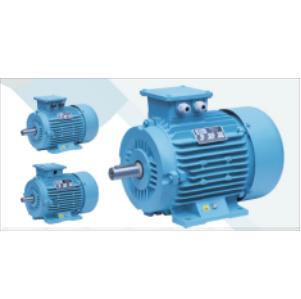 Three Phase Induction Motor