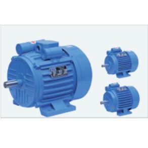 Three Phase Induction Motor