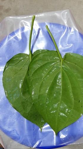 Betel Leaves