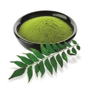 Organic Curry Leaves Powder