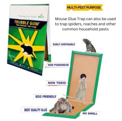 Mouse & Rat Glue Trap