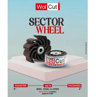 Abrasive Sector Wheel