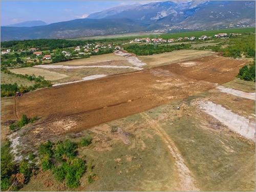 Helichrysum Italicum 