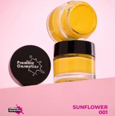 Eye Shadow Paints - 001 Sunflower