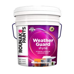 Exterior & Interior Emulsion Paints