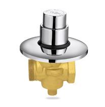Brass Push Valve