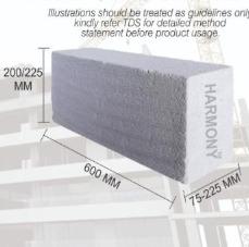 AAC Block