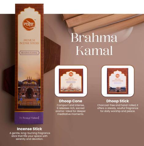 Brahma Kamal Incense Stick, Dhoop Cone, Dhoop Stick