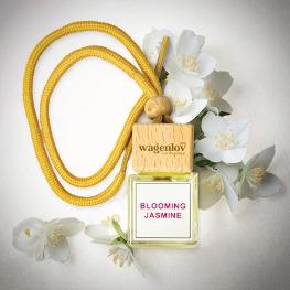 Blooming Jasmine Hanging Oil Car