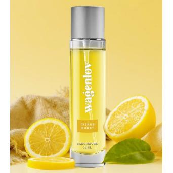 Citrus Burst Car Perfume