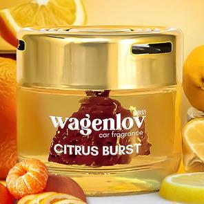 Citrus Burst Car Dashboard Air Fragrance