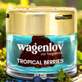 Tropical Berries Car Dashboard Air Fragrance