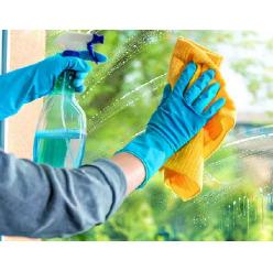 Glass Cleaner