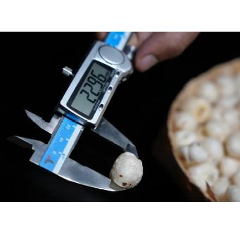 Nutsley Loose 6+ Suta Size Makhana