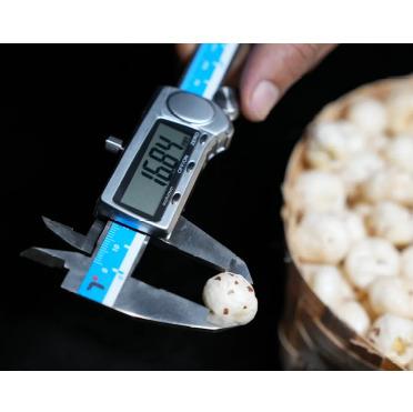 Nutsley Loose 5+ Suta Size Makhana