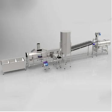 SS Banana Chips Processing Line