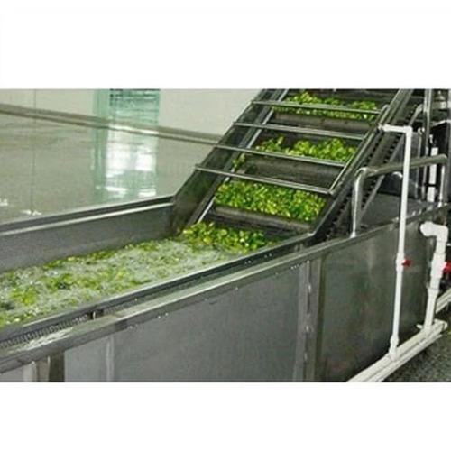 SS Vegetable Processing Plant
