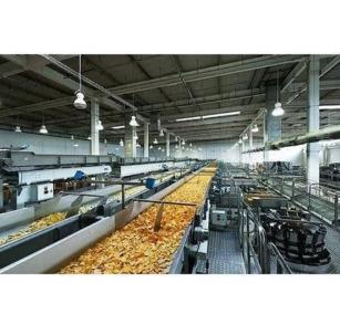 Food Processing Consultancy Services