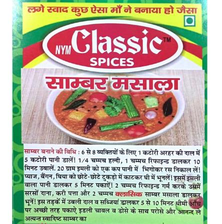 Sambar Masala