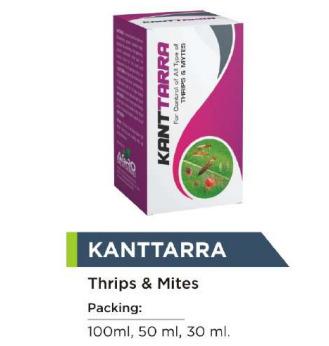 KANTTARRA