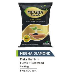 MEGHA DIAMOND