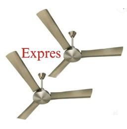 Expres Electro Plated Ceiling Fan