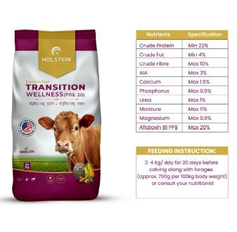 Transition Wellness (Pre 20)