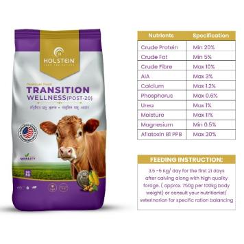 Transition Wellness (Post 20)