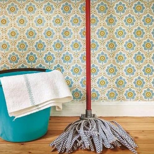 Microfiber Mop & Bucket
