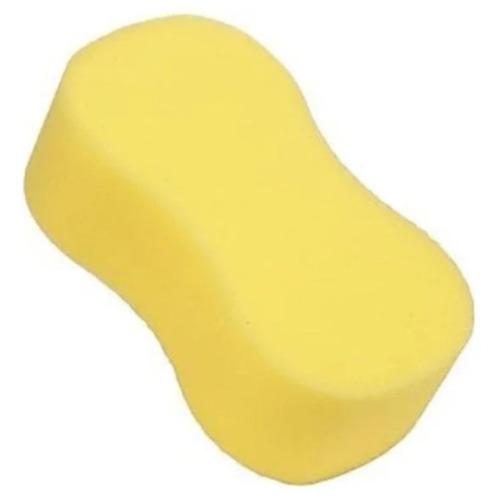 Sponge