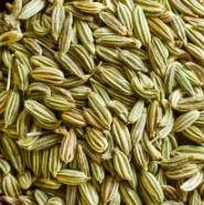 Fennel Seeds