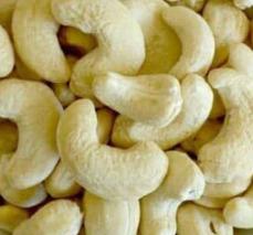 Cashew