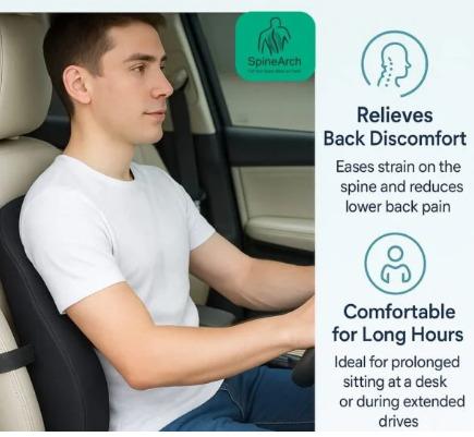 BACK REST PILLOW (UNIVARSAL size)