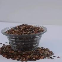 Pahadi Gahat Kulthi 500gm