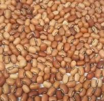 Pahadi Red Lobia 500gm