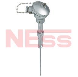 RESISTANCE TEMPERATURE DETECTOR - MODEL RTD01