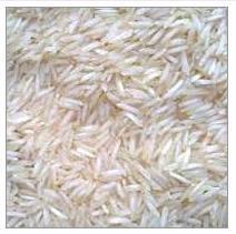 Fresh Basmati Rice