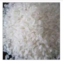 Medium Grain Rice