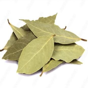 Bay Leaf /tej Patha