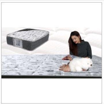 Springee Soft Mattress