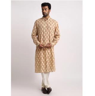 Elegant Beige Printed Kurta